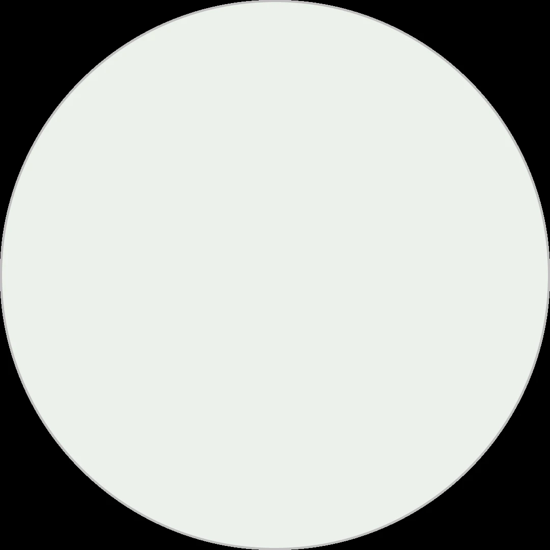 Traffic White